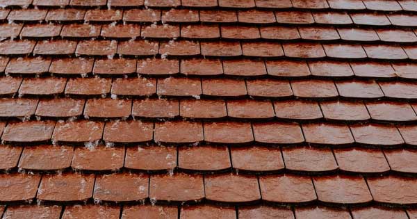 6 Important Things to Look For When Choosing a Roofing Contractor