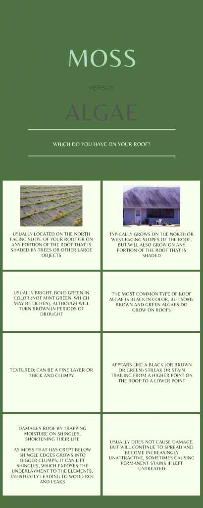 This infographic helps people differentiate between moss and algae on roofs.