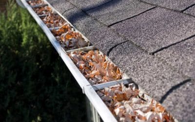 What Kinds Of Damage Can Clogged Gutters Cause?