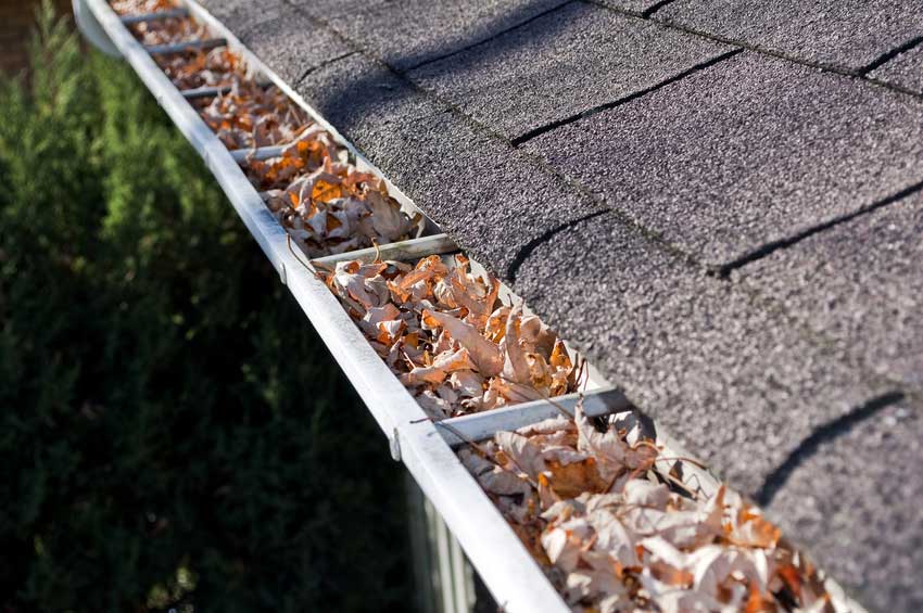 What Kinds of Damage Can Clogged Gutters Cause?