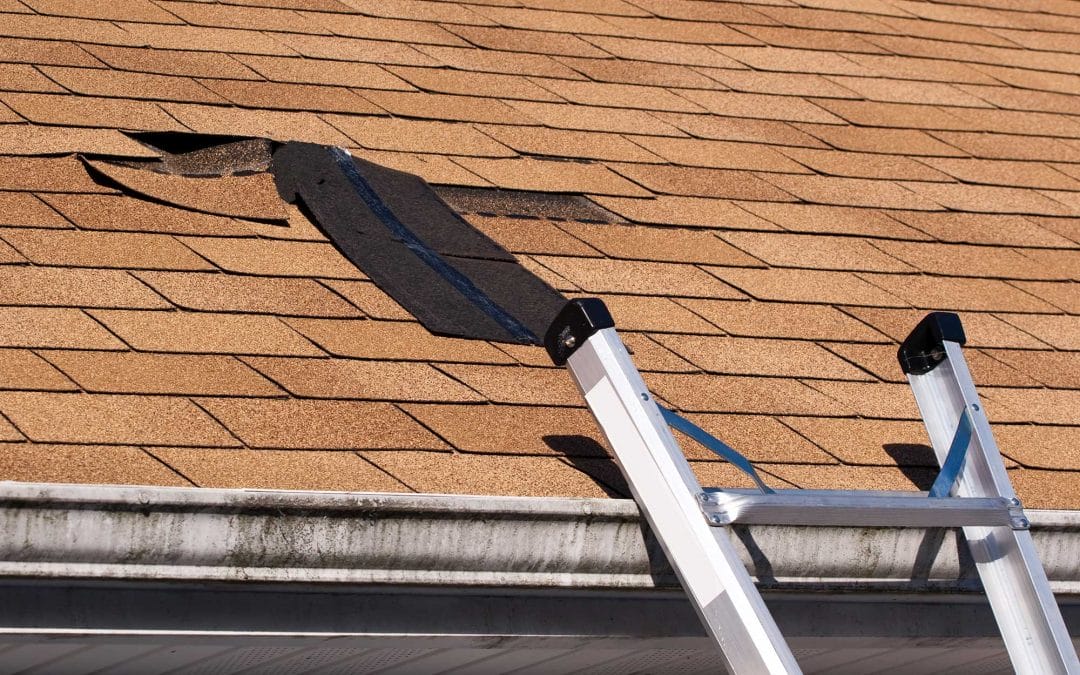 Roofing Resolutions: 5 Tips To Keep Your Roof in Shape All Year Long